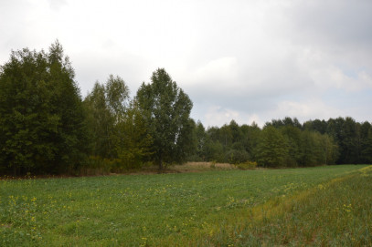 Działka Sprzedaż Brzeźnica Leśna