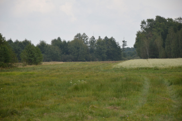 Działka Sprzedaż Brzeźnica Leśna 5