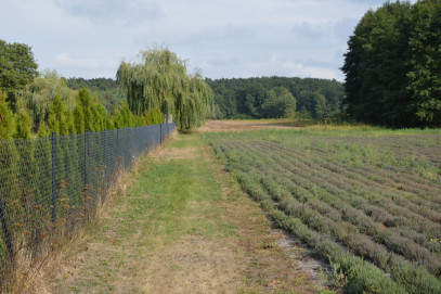 Działka Sprzedaż Klarów