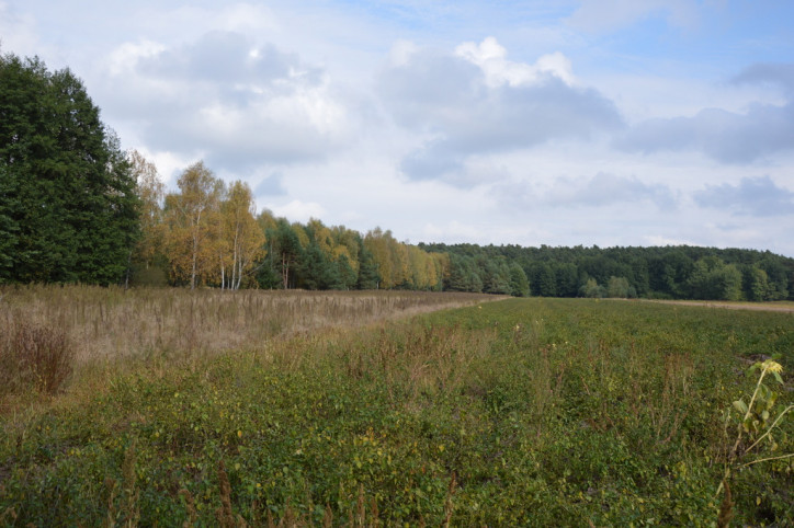 Działka Sprzedaż Klarów 3