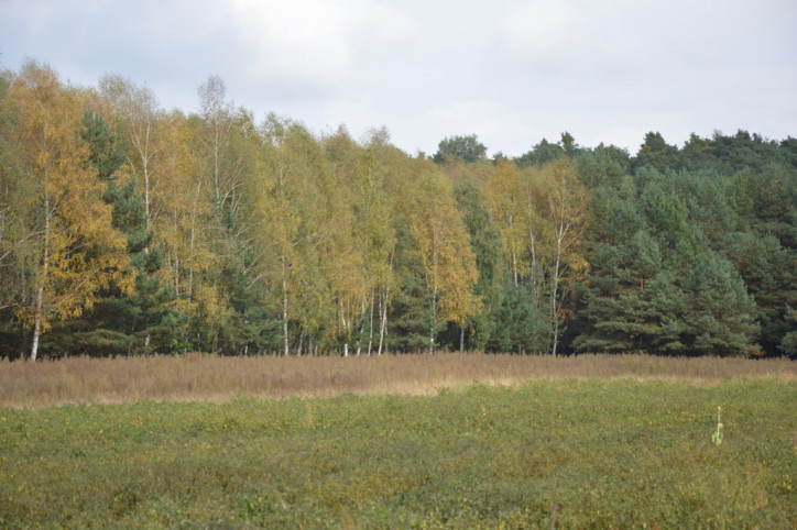 Działka Sprzedaż Klarów 4