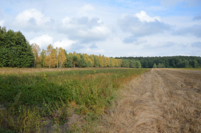 Działka Sprzedaż Klarów