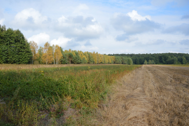 Działka Sprzedaż Klarów 1