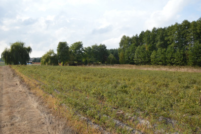 Działka Sprzedaż Klarów