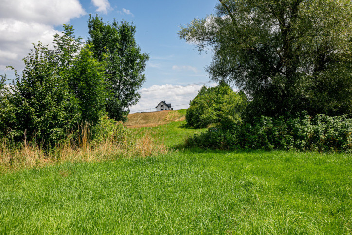 Działka Sprzedaż Zalasowa 12