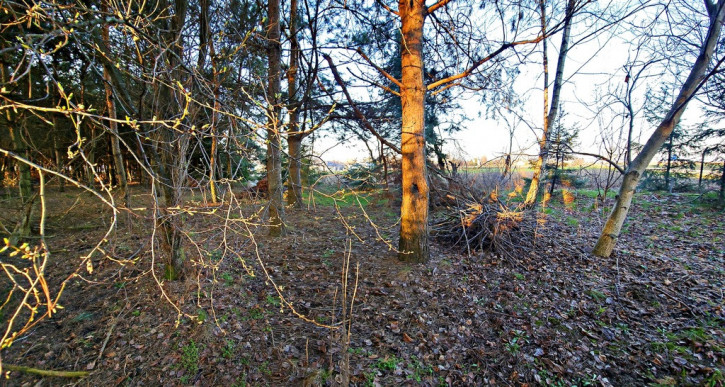 Działka Sprzedaż Wola Krasienińska 7