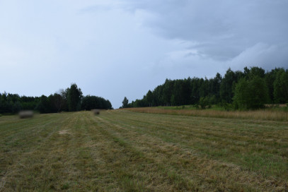 Działka Sprzedaż Budy Głogowskie