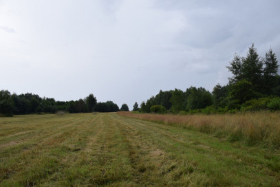 Działka Sprzedaż Budy Głogowskie