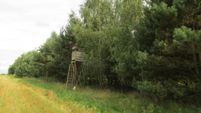 Działka Sprzedaż Żołynia