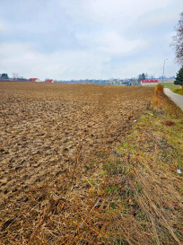 Działka Sprzedaż Tomaszowice