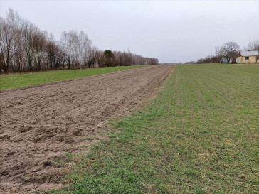 Działka Sprzedaż Mszadla Stara