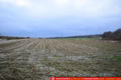 Działka Sprzedaż Wierciszów