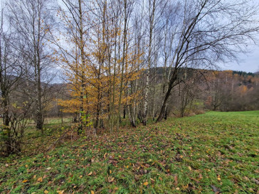 Działka Sprzedaż Stryszawa